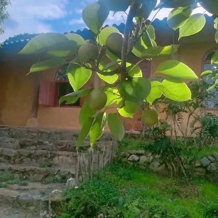 H'Mong Co Tran Sapa Homestay Exterior photo
