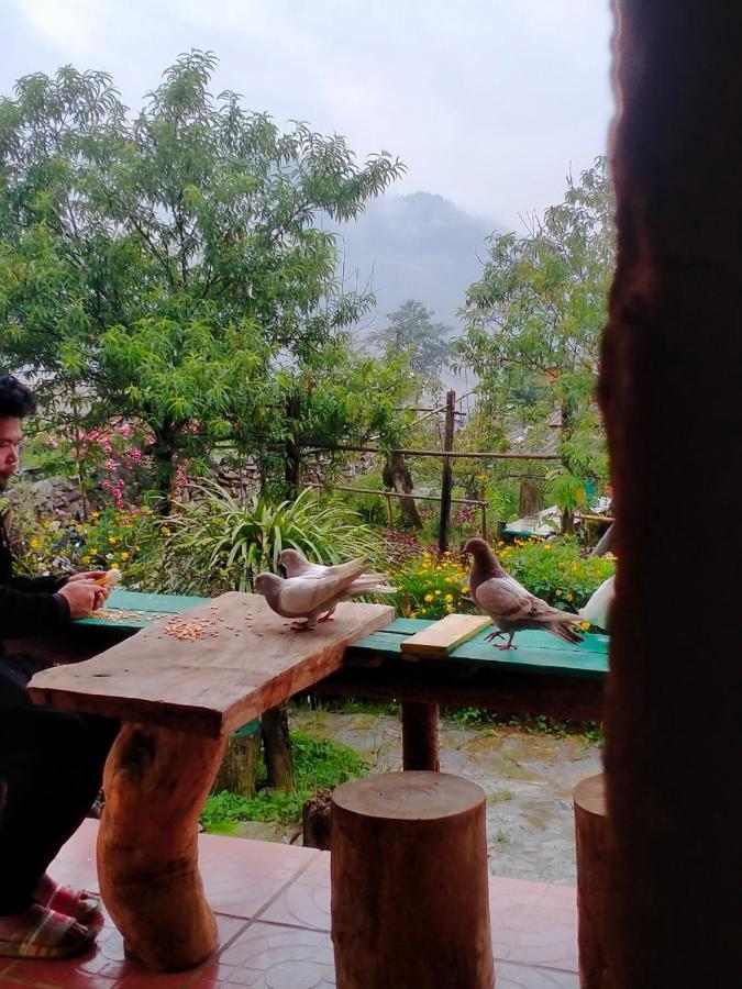 H'mong Co Tran Sa Pa