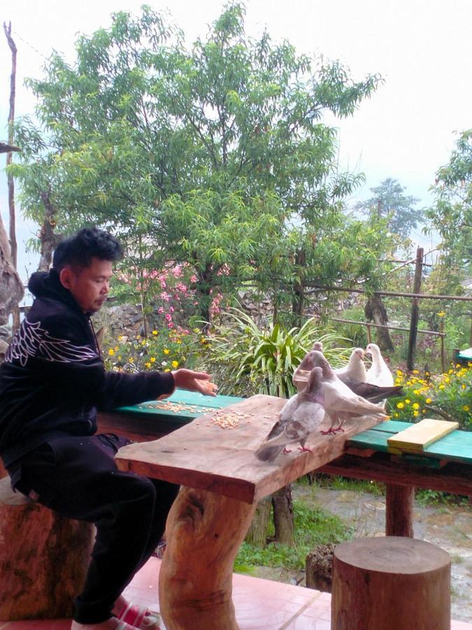 Lodge H'mong Co Tran Sa Pa