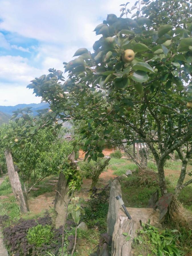 Lodge H'mong Co Tran Sa Pa