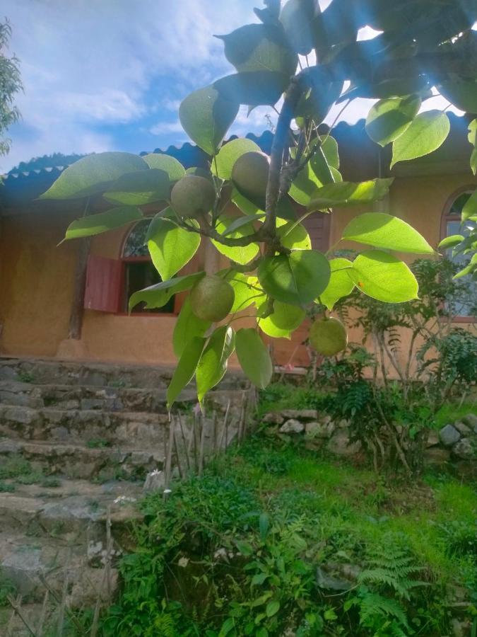 H'mong Co Tran Lodge Sa Pa